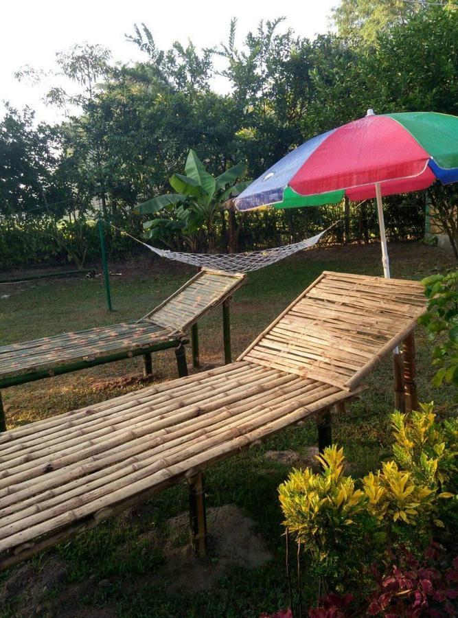 The Mystic Forest - A Tea Garden Resort At Dooars Madari Hat Kültér fotó