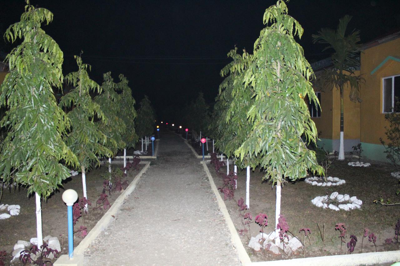 The Mystic Forest - A Tea Garden Resort At Dooars Madari Hat Kültér fotó