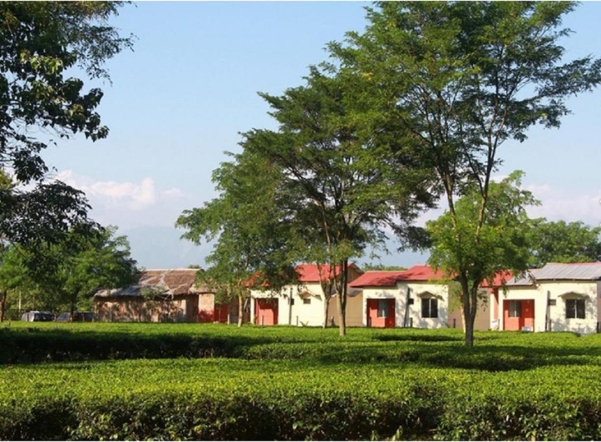 The Mystic Forest - A Tea Garden Resort At Dooars Madari Hat Kültér fotó