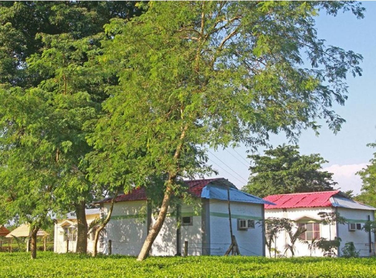 The Mystic Forest - A Tea Garden Resort At Dooars Madari Hat Kültér fotó