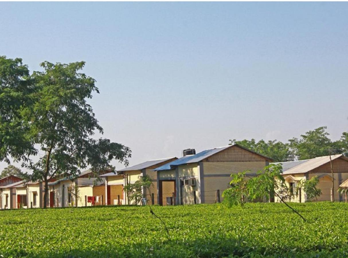The Mystic Forest - A Tea Garden Resort At Dooars Madari Hat Kültér fotó