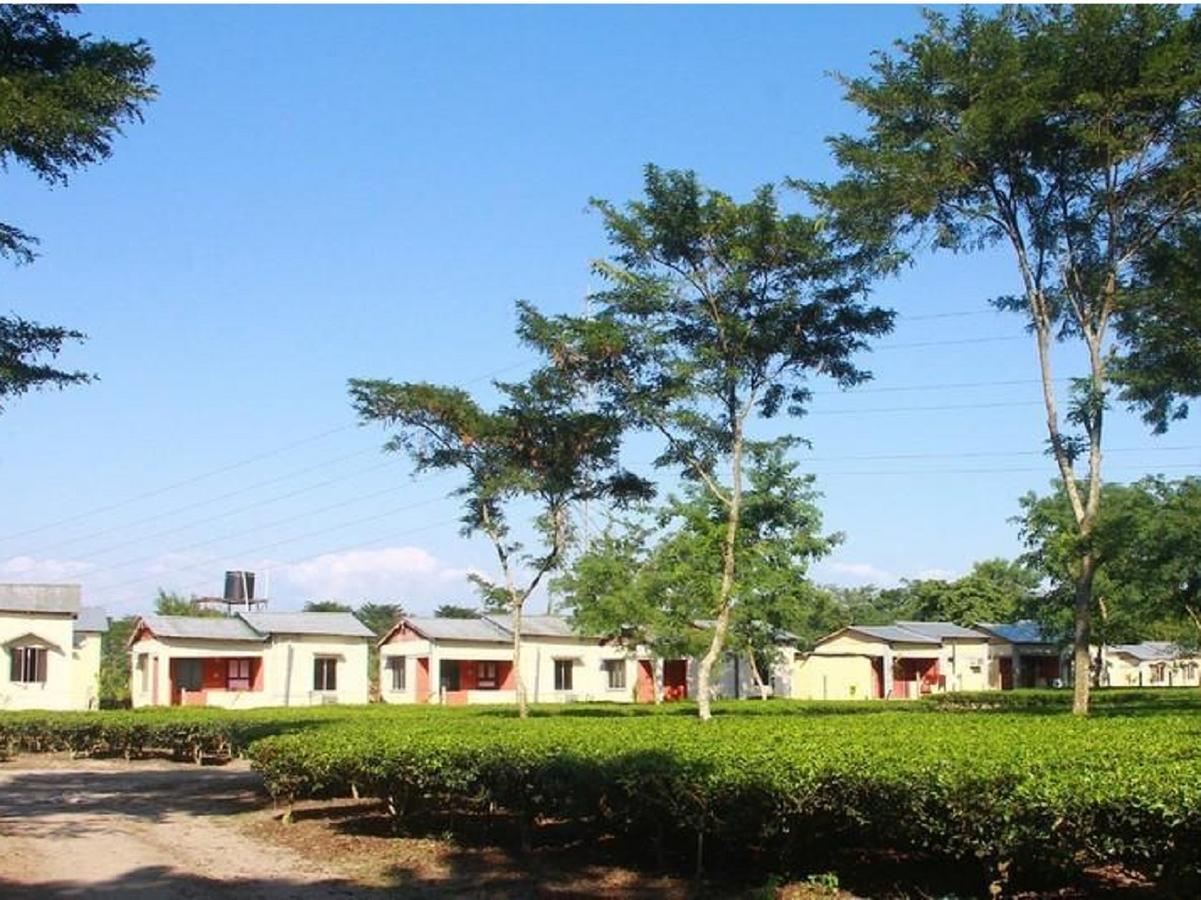 The Mystic Forest - A Tea Garden Resort At Dooars Madari Hat Kültér fotó