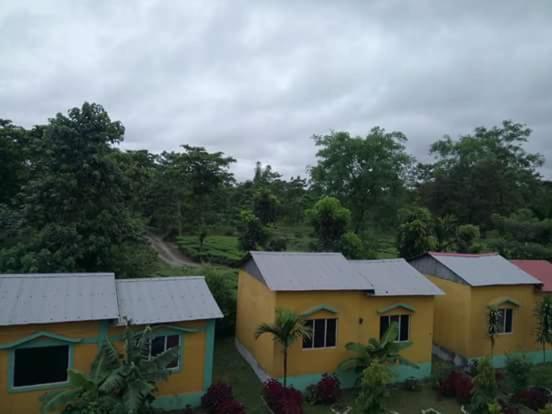 The Mystic Forest - A Tea Garden Resort At Dooars Madari Hat Kültér fotó